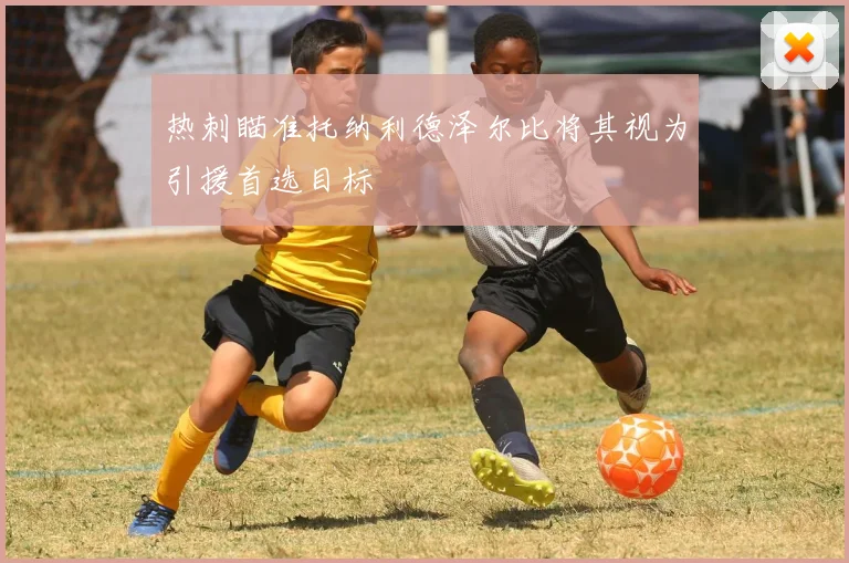 热刺瞄准托纳利德泽尔比将其视为引援首选目标
